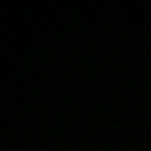 Meet your Posher, Jayden